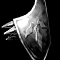 Kite Shield Icon: hand-drawn item sprite, 60x60 px.